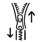 Two-Way Zipper